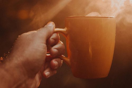 A warm hand holding a steaming cup of coffee against a sunny backdrop.